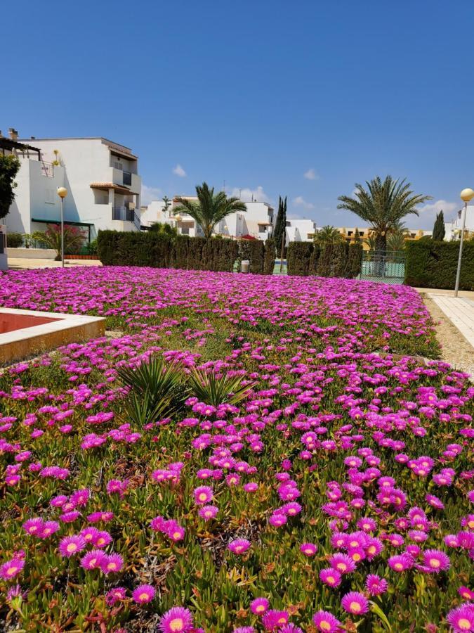 Apartamento Naturista En Primera Linea! Vera Exterior foto